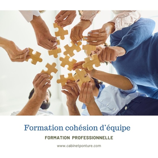 FORMATION COHESION D'EQUIPE BBS